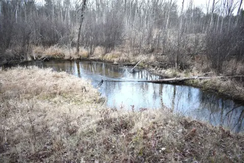Riverfront Land in Luther, MI