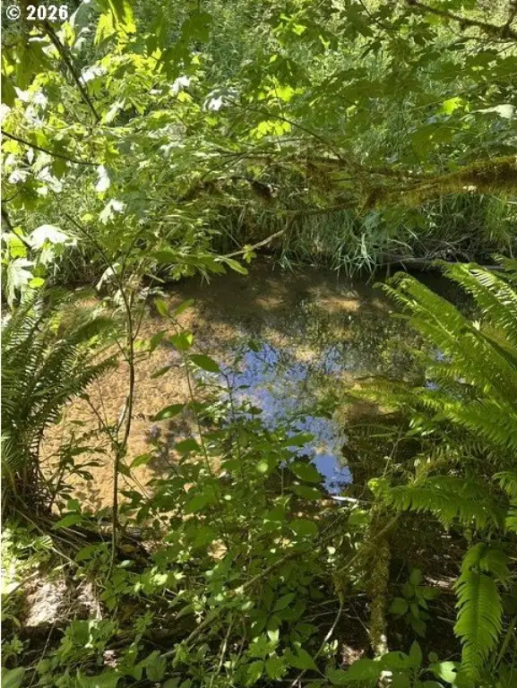 Picture 22