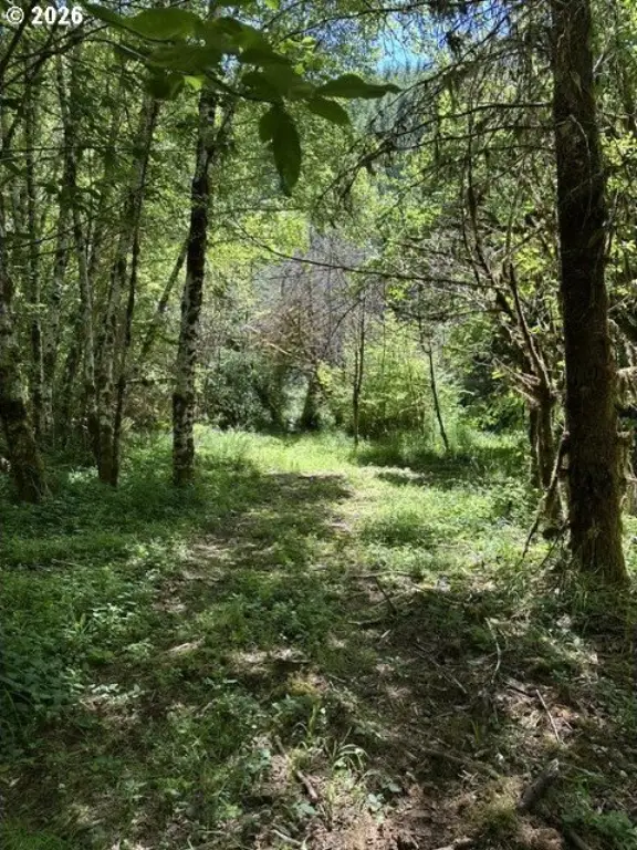 Picture 24
