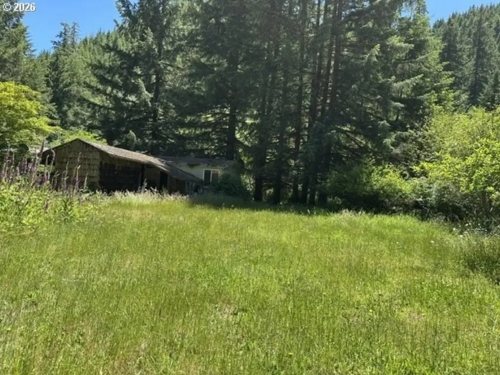 Picture 17