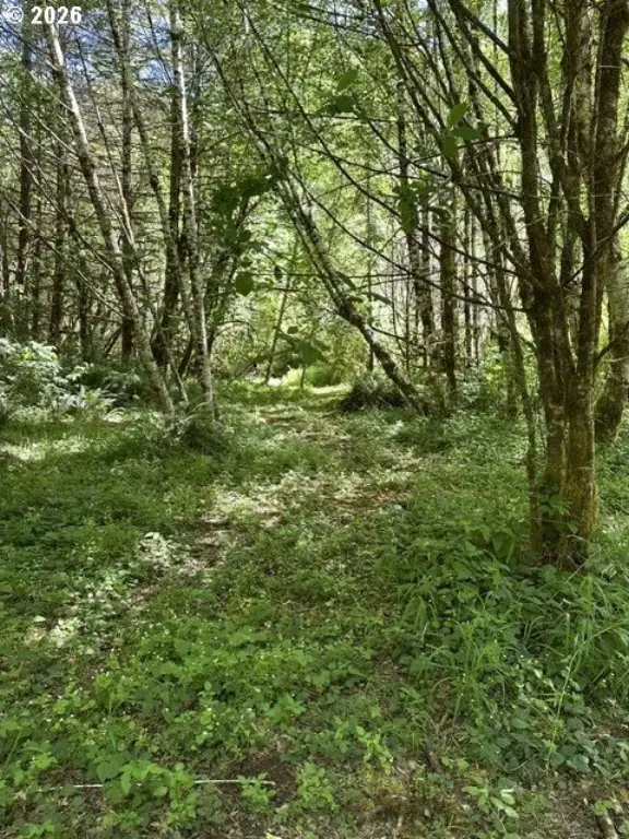 Picture 23