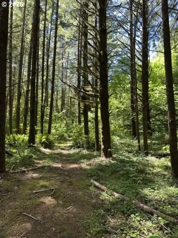 Picture 19