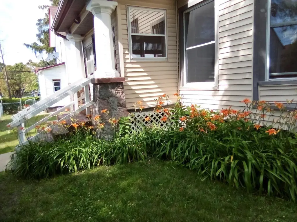 Picture 40