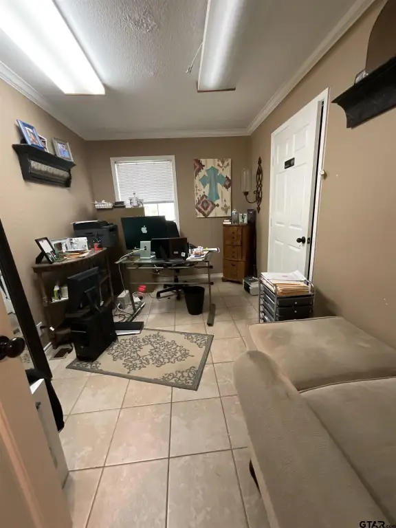 Picture 11
