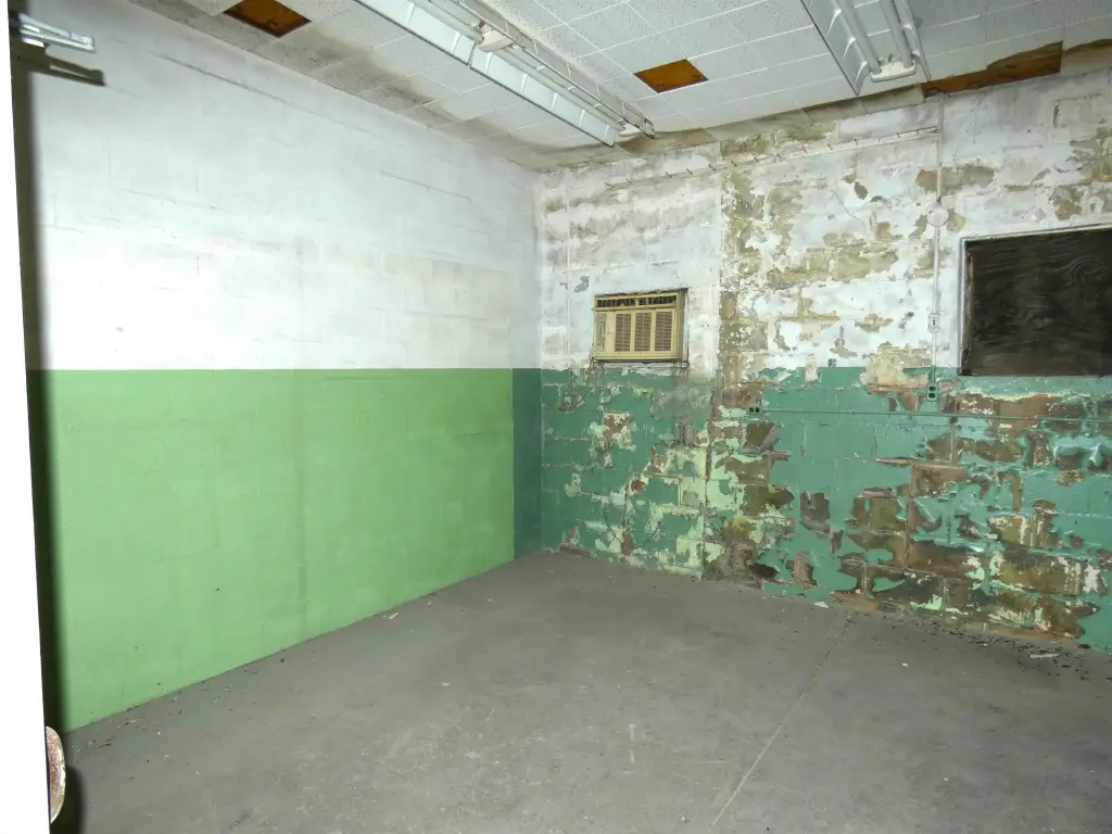 Picture 10