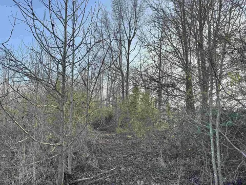 Unrestricted Acreage Near NTCC