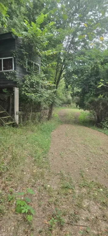 Picture 7