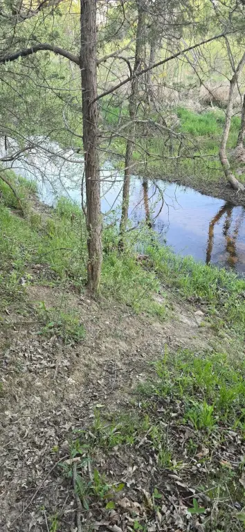 Picture 8