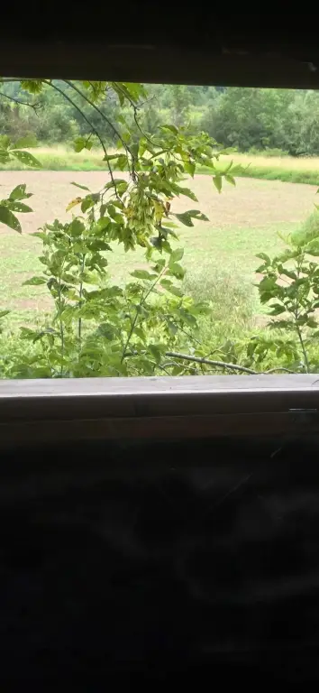 Picture 11