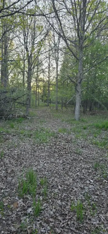 Picture 4