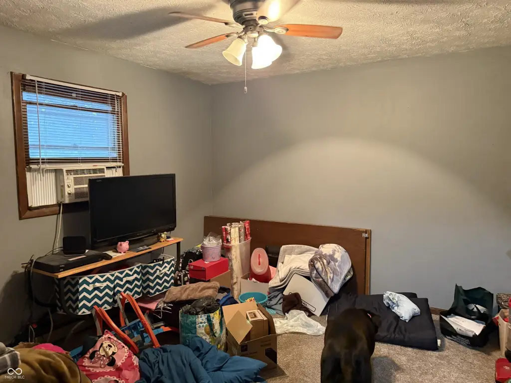 Picture 18