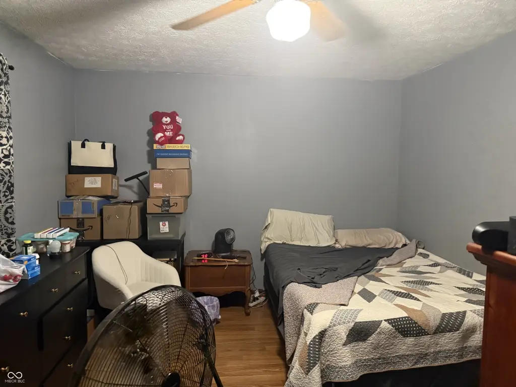 Picture 17
