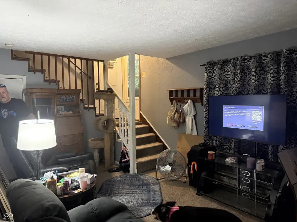 Picture 8