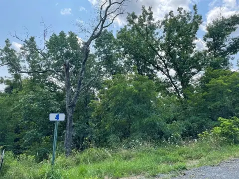 Residential Land in Hemlock Hills