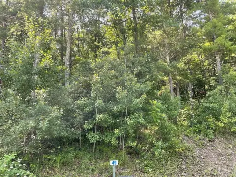 Vacant Lot in Hemlock Hills