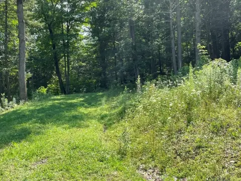 Residential Land in Hemlock Hills