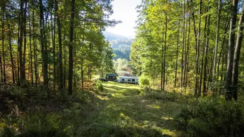 Gaines PA Land Bordering State