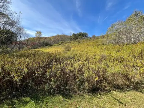 Coudersport Land with Scenic Views