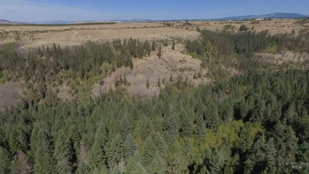 Picture 39