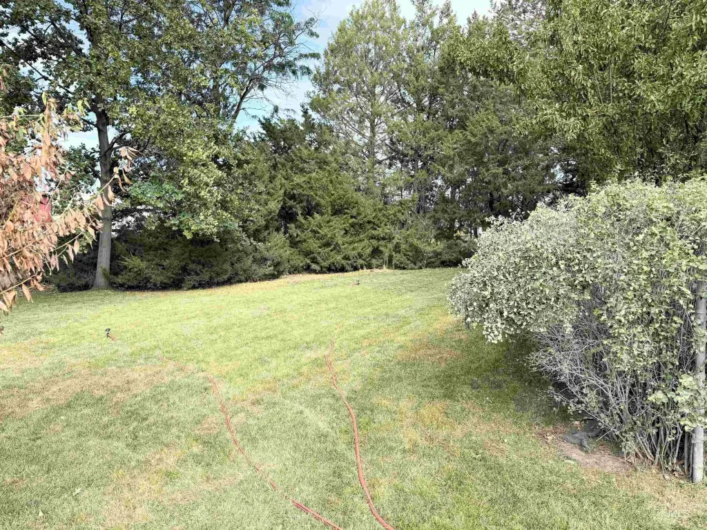 Picture 10
