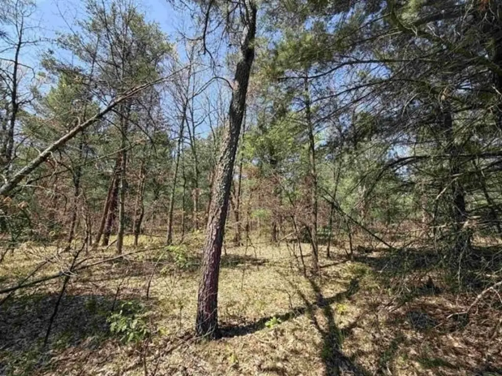 Picture 12
