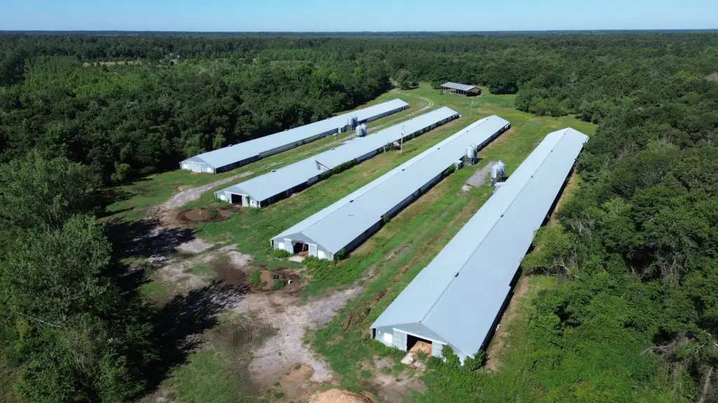 Picture 15