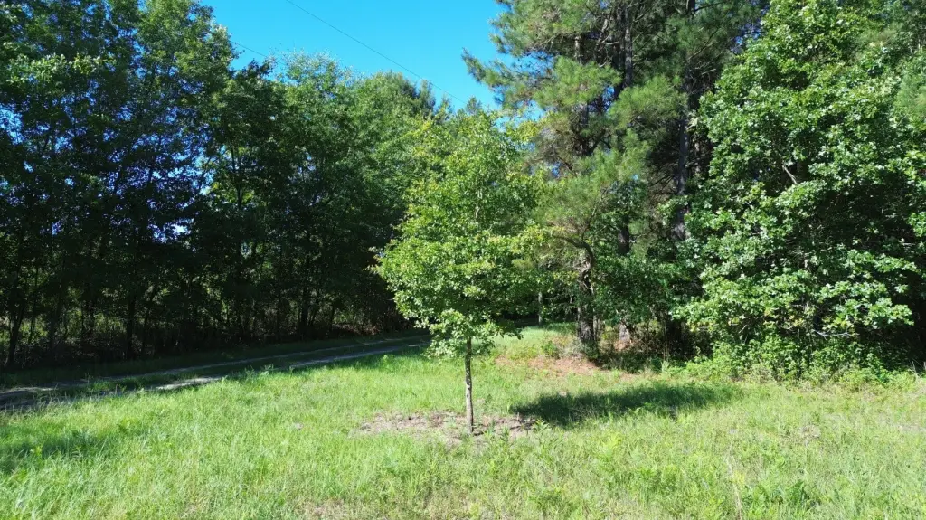 Picture 12