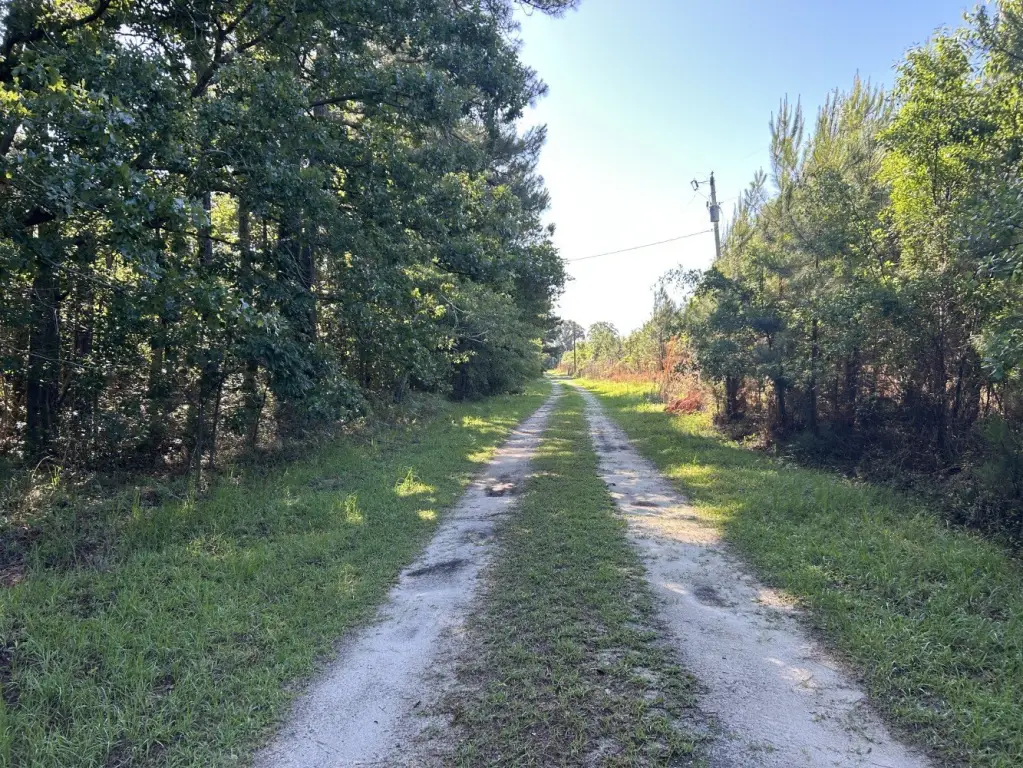 Picture 21