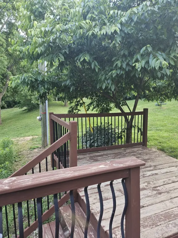 Picture 23