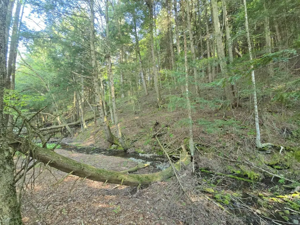 Picture 14