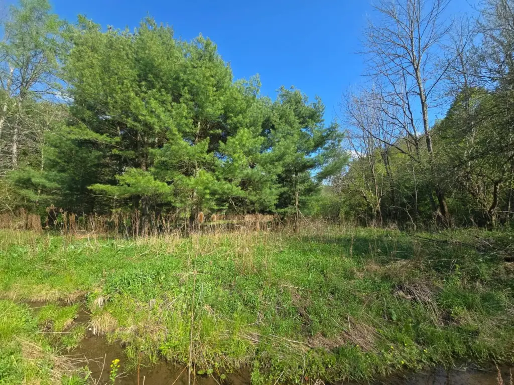 Picture 19