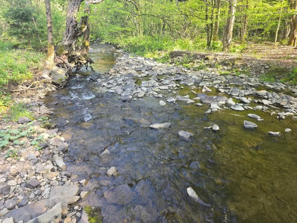 Picture 10