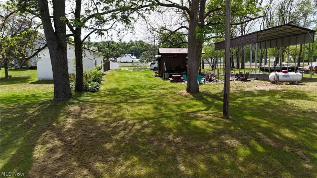 Picture 9