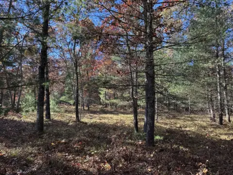 Buildable Land in Free Soil