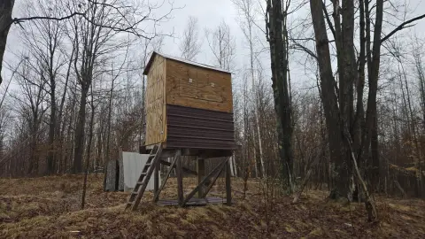 80 Acres of Hunting Land