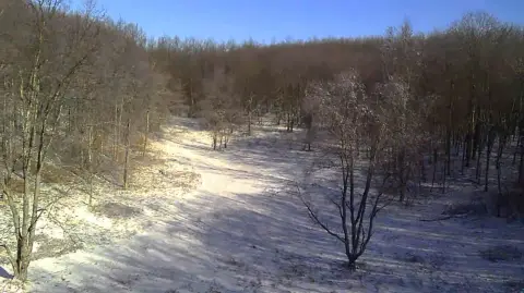 40 Acres Hunting Land with Cabin