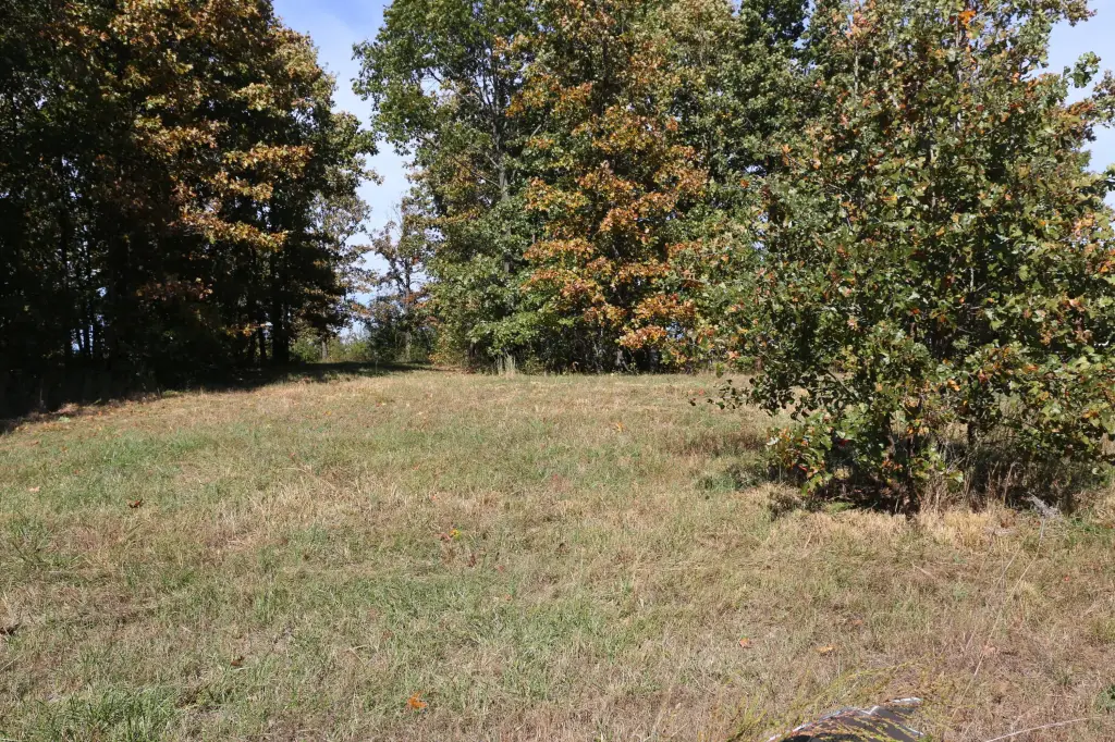 Picture 5