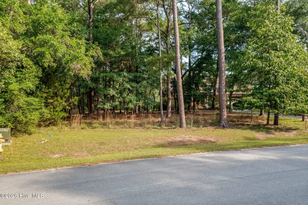 Picture 18