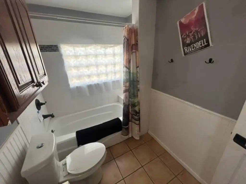 Picture 15
