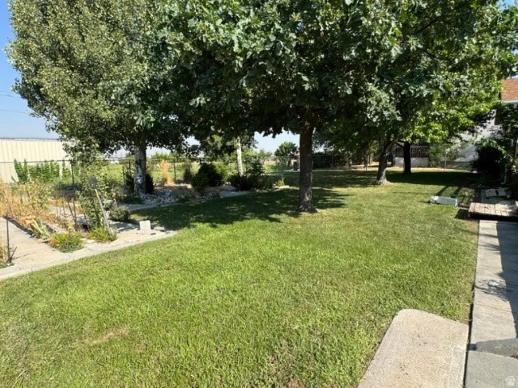 Picture 31