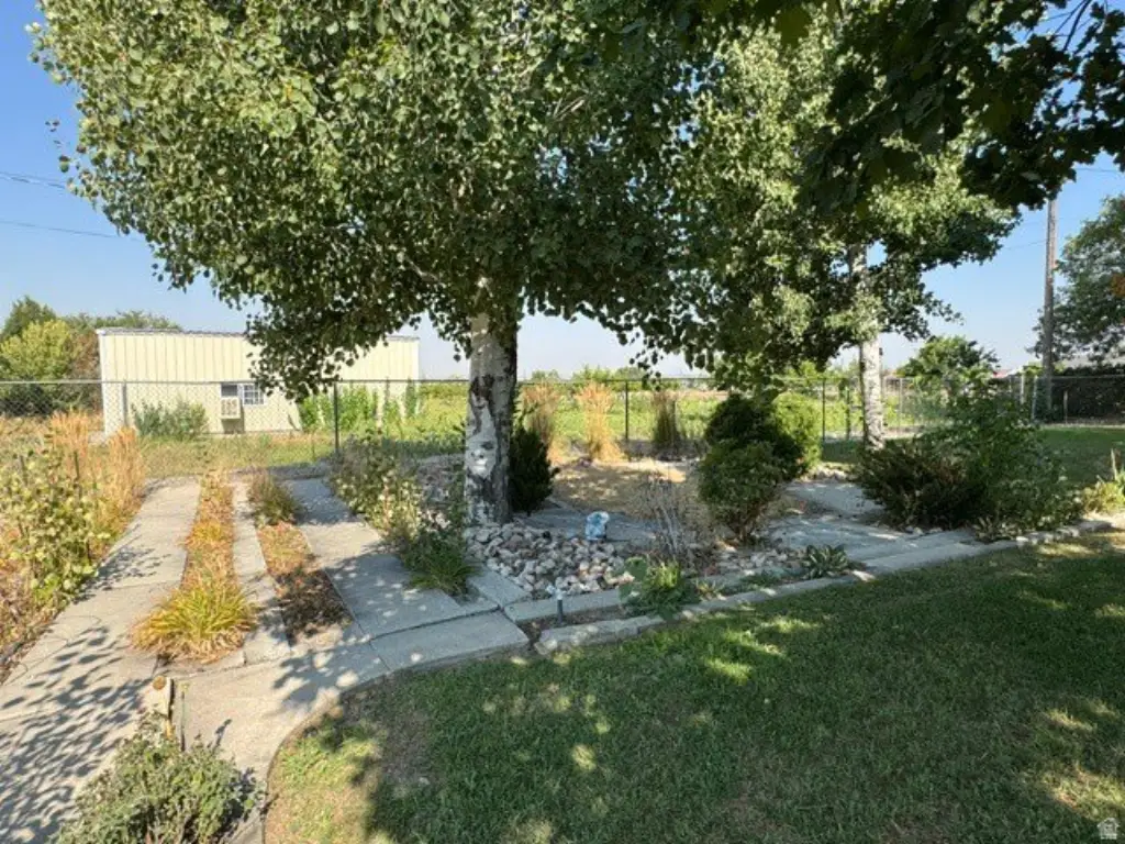 Picture 36