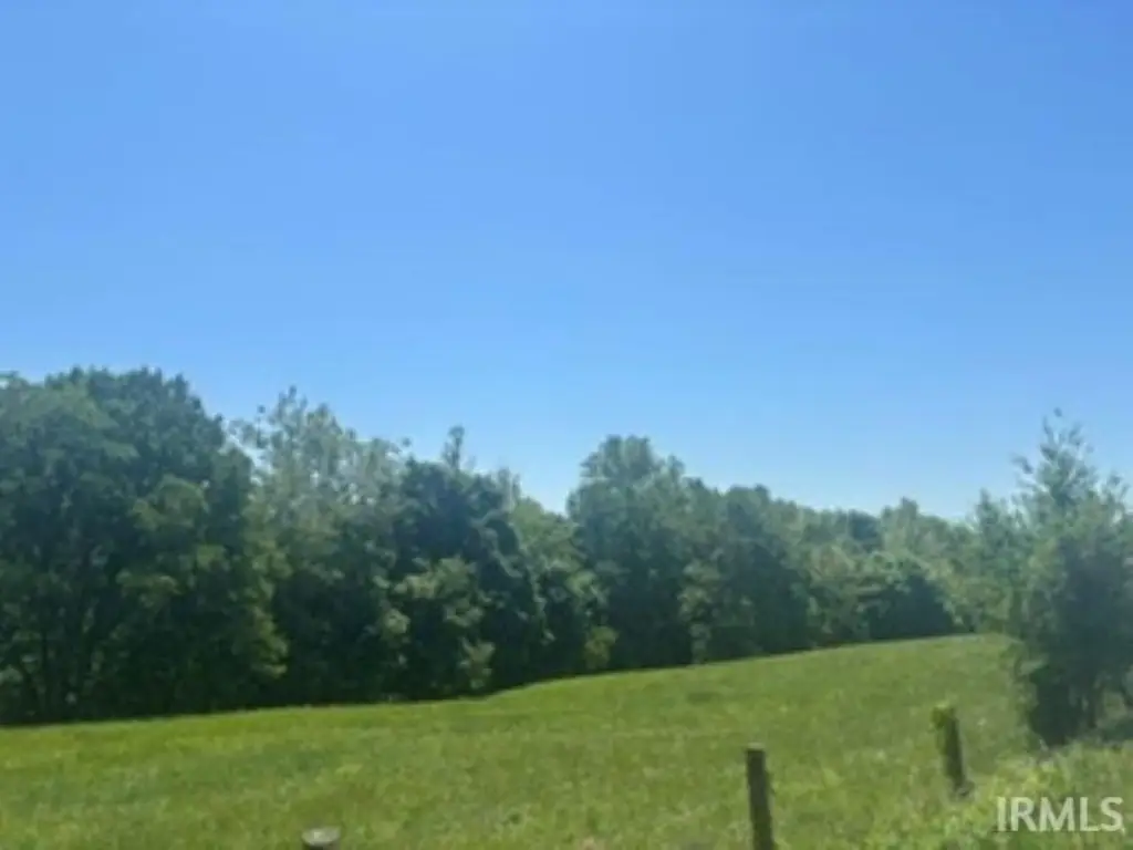 Picture 5