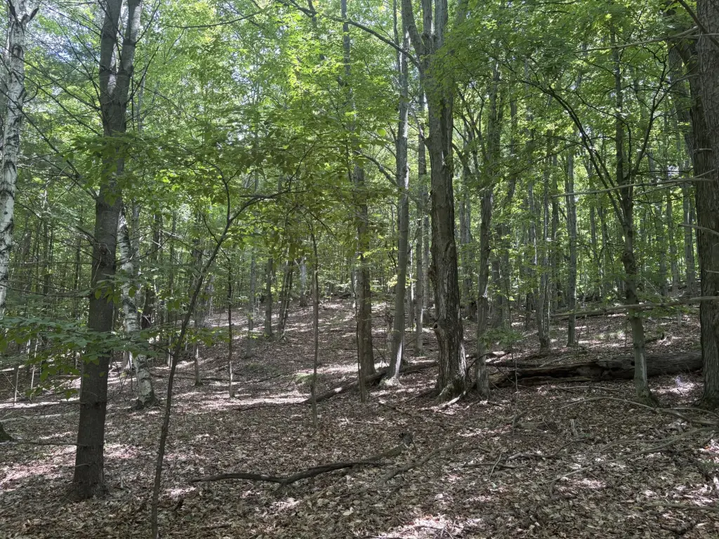 Picture 14