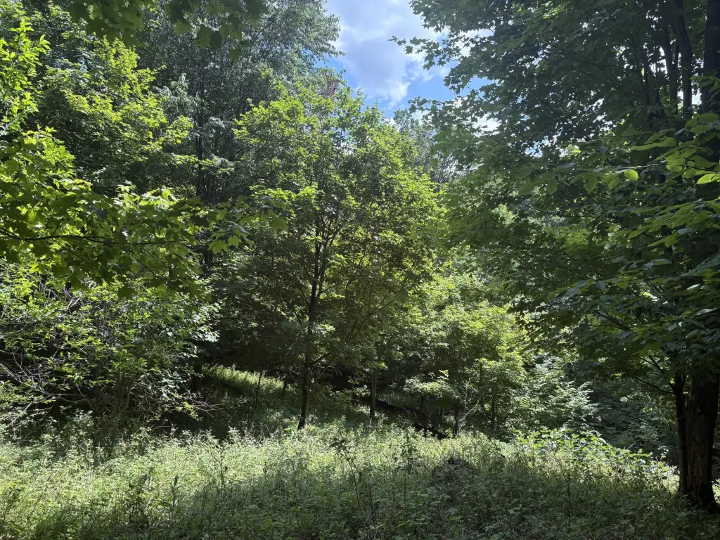 Picture 15