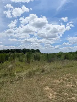 53 Acres in Headland, AL