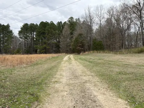 Sprawling Monterey Road Acreage