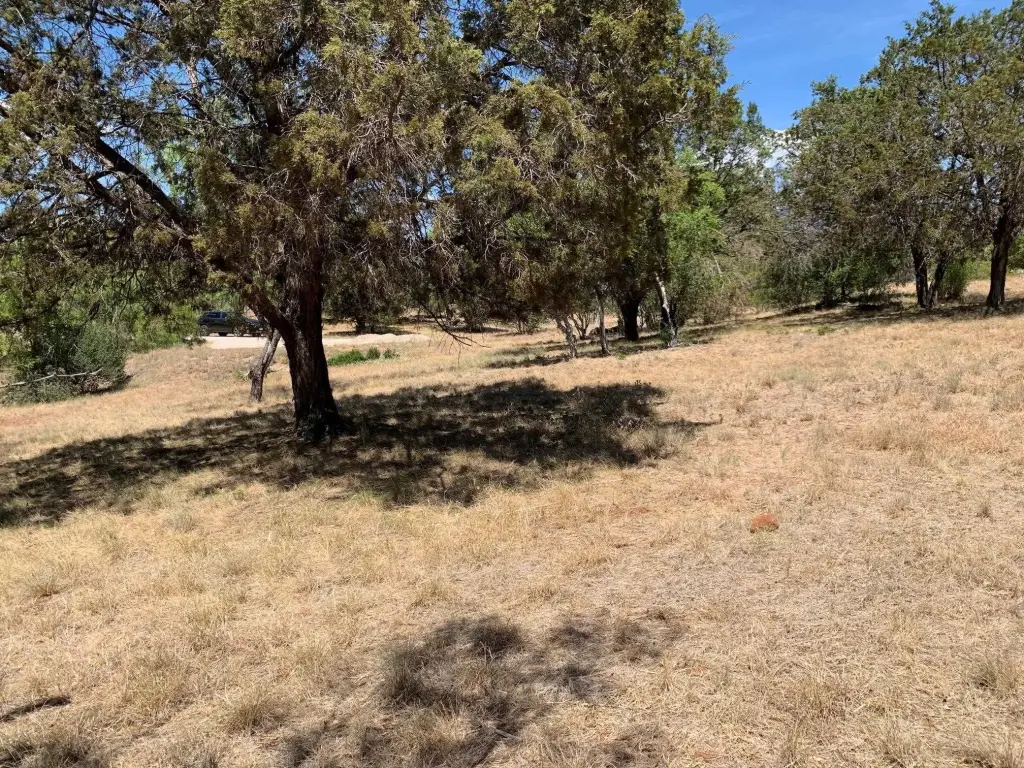 Picture 20