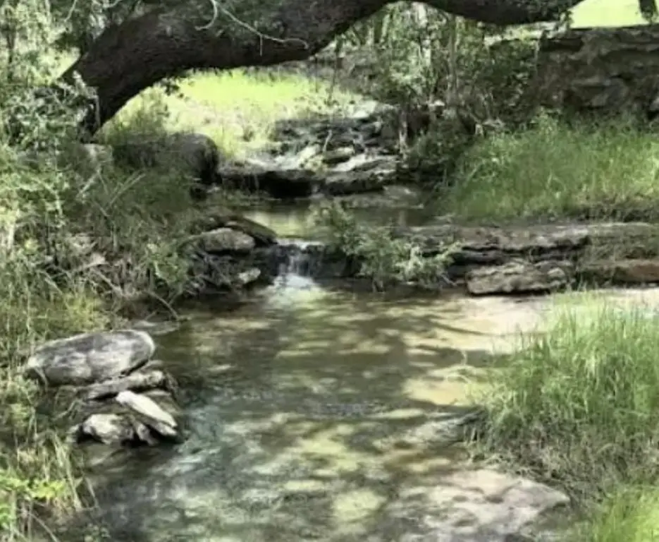 Picture 13
