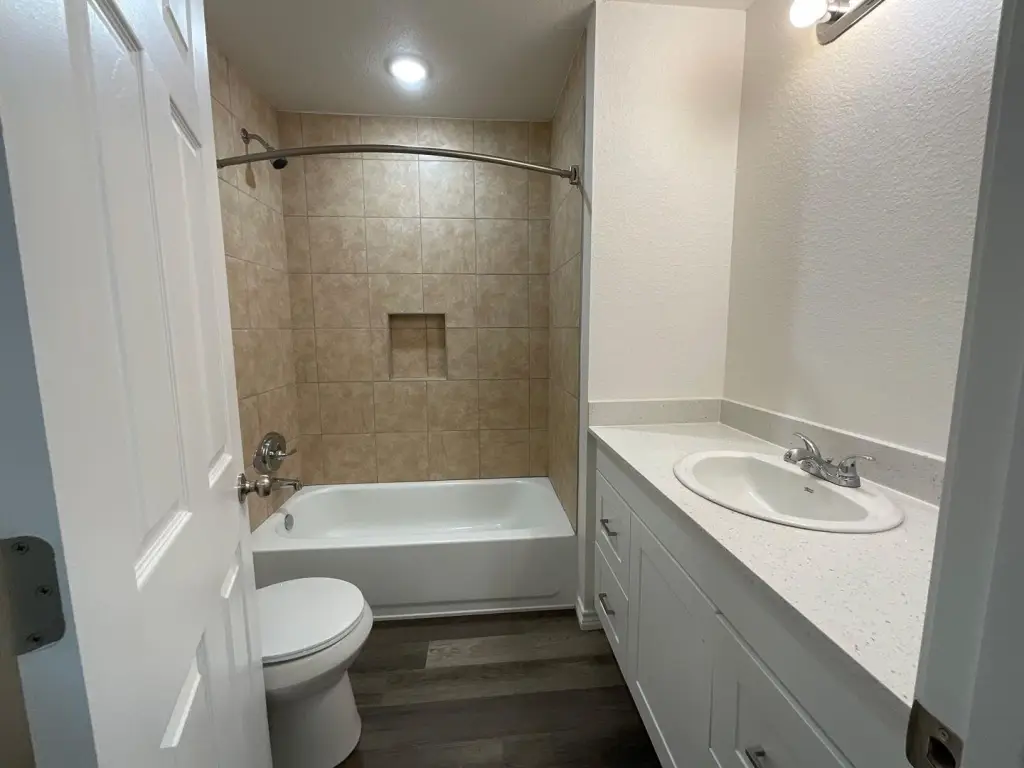 Picture 19