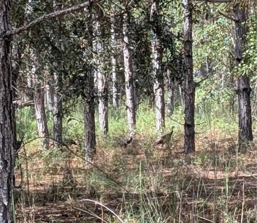 Picture 4